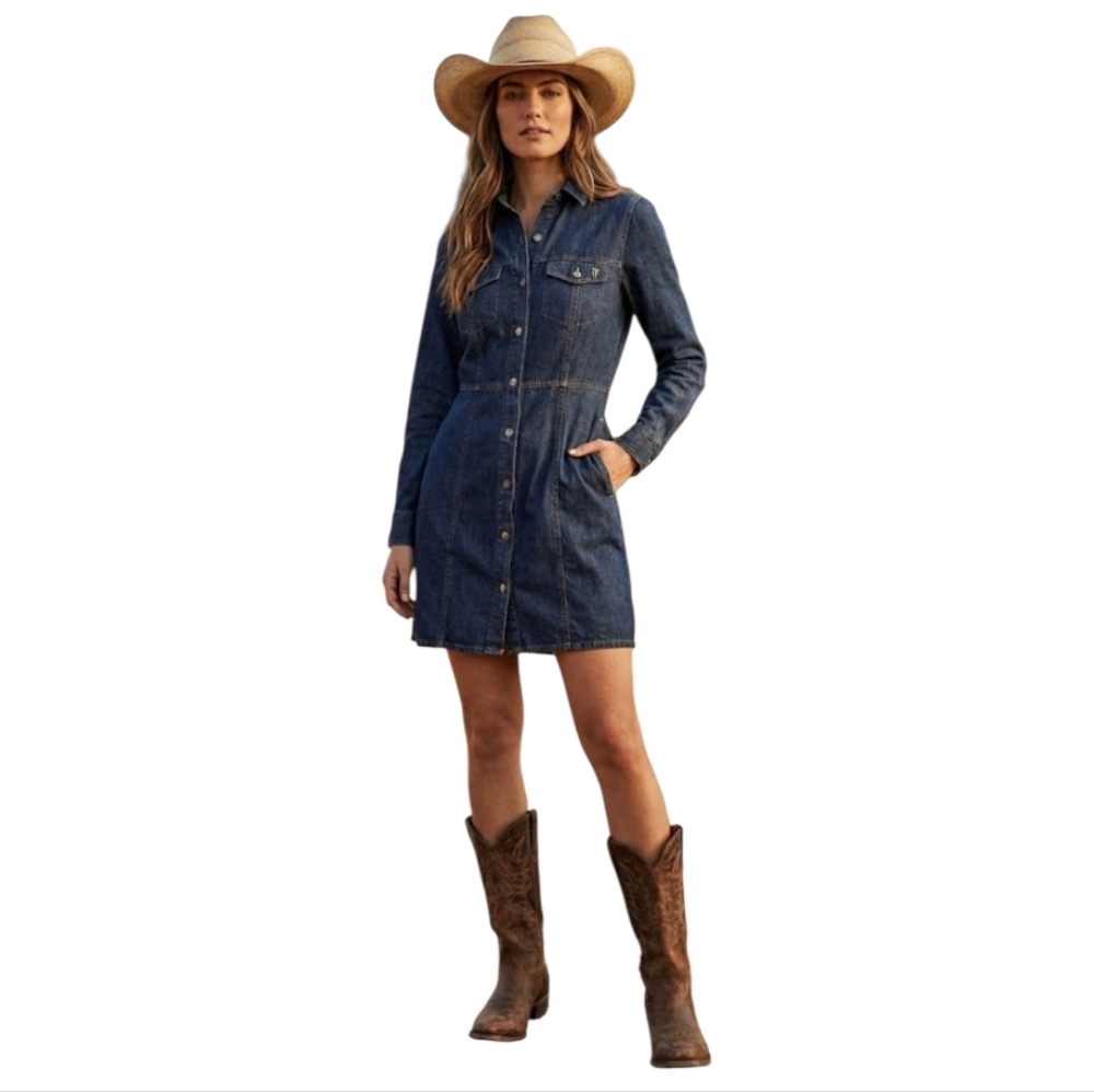 Frye Button-Up Denim Mini‎ Dress Size XS
